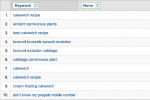 Cakewich and Cruciferous Vegetables are my top Google Analytics Search Phrases